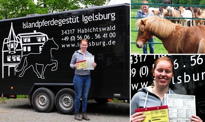 Anne holt Igelsburg-Fohlen, DKMS bleibt superwichtig