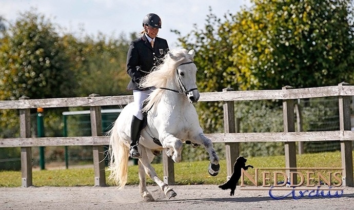 P’championat: V1-Spitze an Lisa vor Toke und Sys