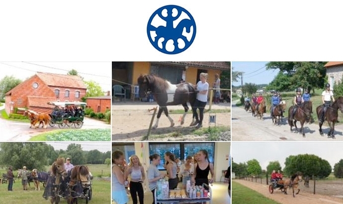 Thank you, Belgium … Tagebuch: FEIF YouthCamp