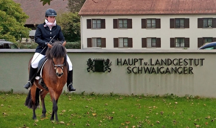 Abwechslungsreiches Jahr 2015 auf dem Haselhof