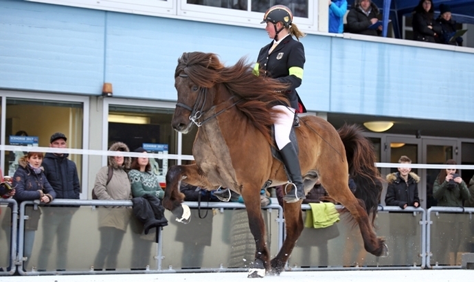 IceHorse: Lisa und Bassi souverän zur F1-Spitze