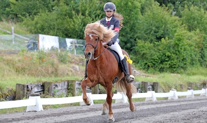 Grenzlandhof-Gold: Geiter, Kesenheimer, Fedorov