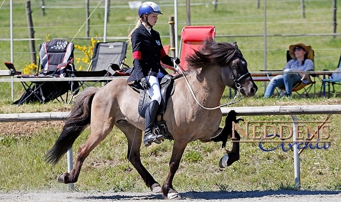 Móarbær: Youngster-T4 an Melissa und Sproti / Upd.