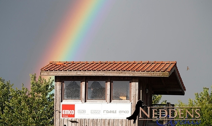 Lingen: Video-Nachlese der Finals in T1/T2/V1/F1