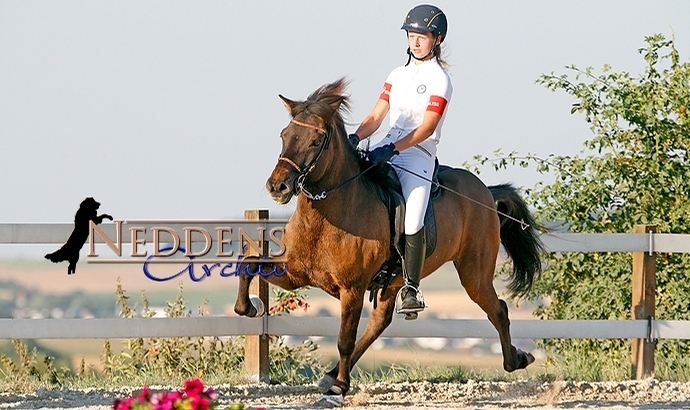 HIM live: Maxime packt Jugend-T1/-T3, Updates