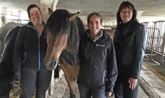 ‘Partner Pferd’ zu Besuch auf dem Gestüt Haselhof