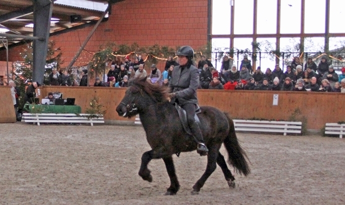 Kronshof: Beuk, Finke, Terkildsen, Kl. Büning top