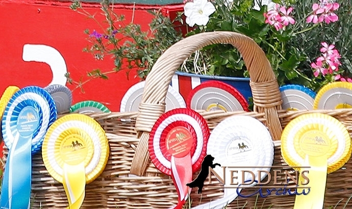 DJIM: Turniertag 2 beginnt, Video vom Opening