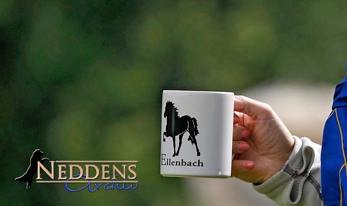 Ellenbach: Tag 2 läuft, Video-Highlights der PP1