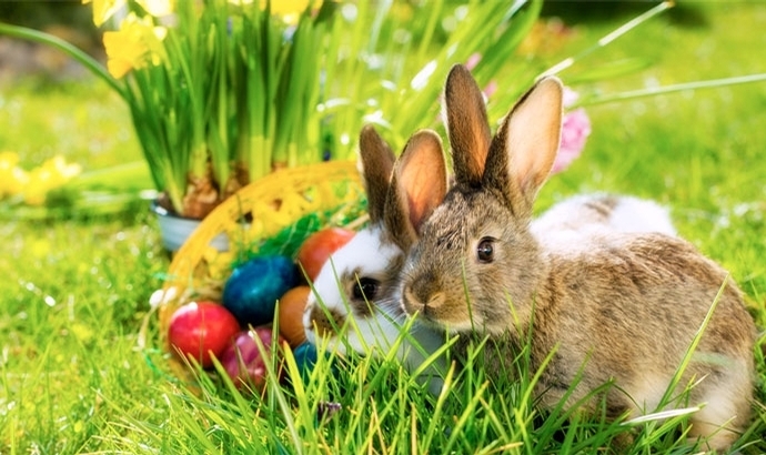 Frohe Ostern – genießt ein weiteres ‘Fest der Liebe’