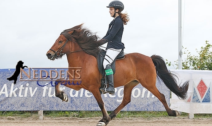 DJIM: Laura, Julian, Lena, Mathilde toppen T3, T4, F2