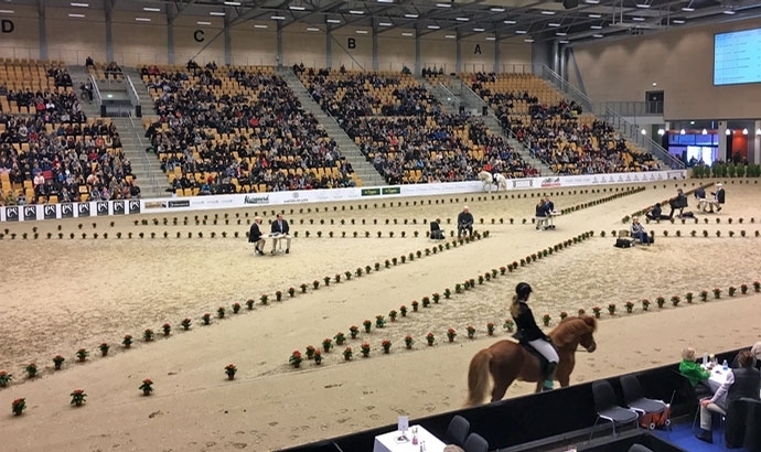 WorldTölt: IPZV-Youngster prima / BF-Ergebnisse