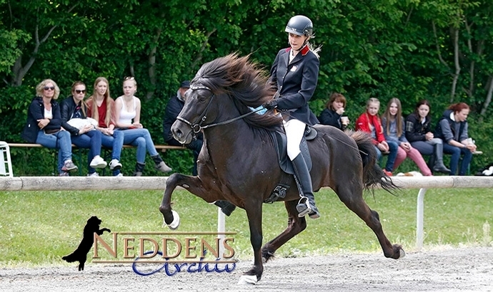 E’bach: Lea, Lucie, Franzi toppen V1 / T1-Video