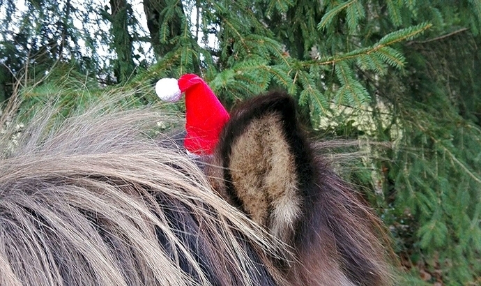 Festtagsfotos, Geschichte der Lüttenweihnacht