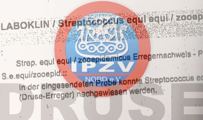 Nord-Absage: ‘NoHePa’ fällt Druse-Gefahr zum Opfer