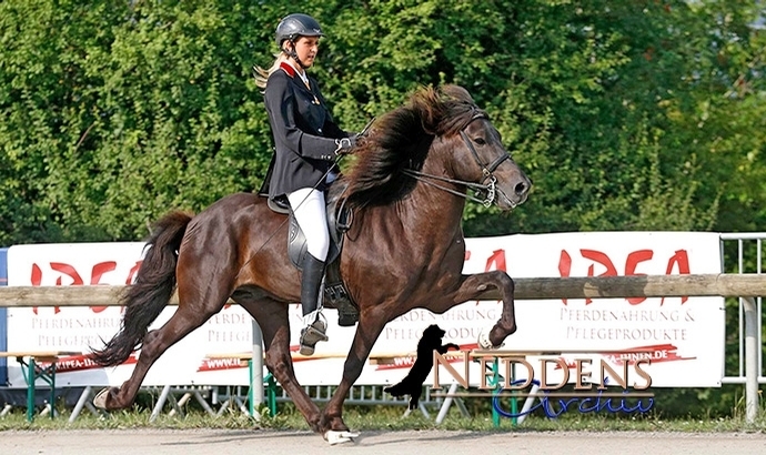 DJIM: Lea & Kolgrímur in der T1 vor Lucie & Krummi