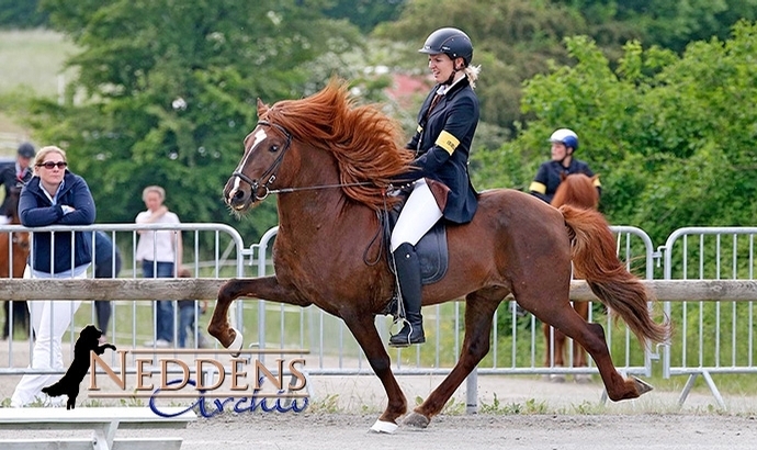 Ellenbach-Jubel: Christina, Vivien, Alex und Siggi