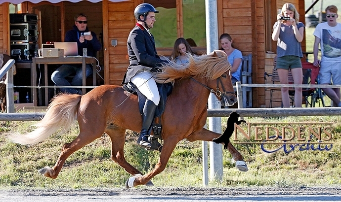 Móarbær: Gianni, Sophia, Willi toppen Youngster-F1