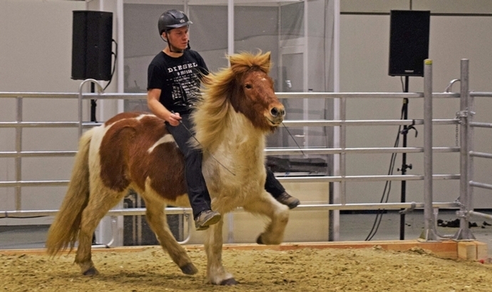 Islandpferde begeistern Hippologica-Publikum