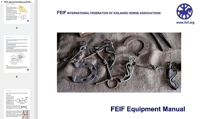FEIF: Nützliches Equipment Manual ab sofort online