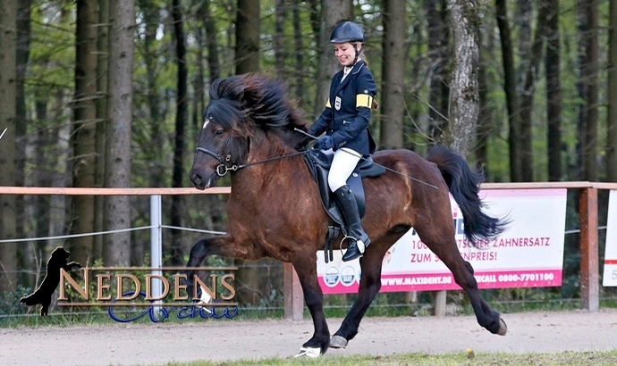 Birkenhof: Leonie, Lea, Alina, Katharina, Klara vorn