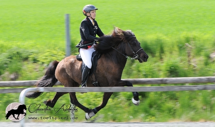 Wurz: Bärenstarke Vicky, Beggi, Ladina toppen PP1