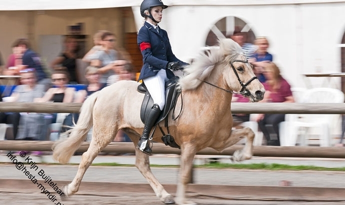 Belm: Jenny, Lilja, Lisa, Gerrit zu Gold beim IPOL