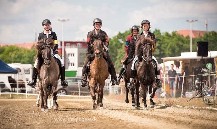 BIF 2017: Sport-Action in der WM-Arena Karlshorst