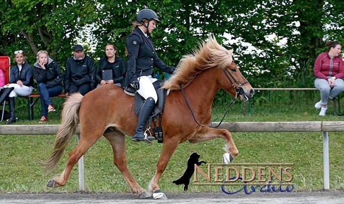 Ellenbach: Lena gewinnt T2, Jannik Youngster-F2