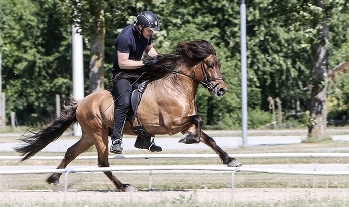 Vökull und Hannibal: Youngster rocken Herning