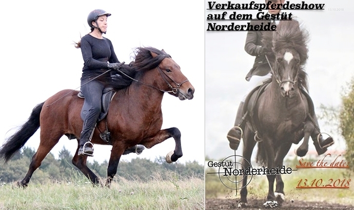Norderheide lädt am 13.10. zum großen Verkaufstag