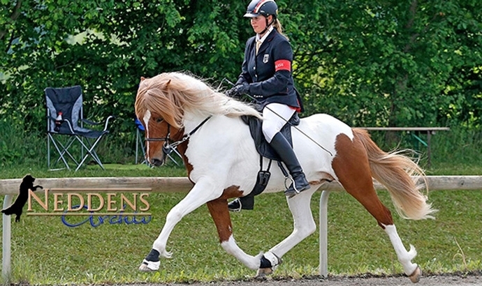 Ellenbach: Lisa gewinnt V1, alle Finalergebnisse