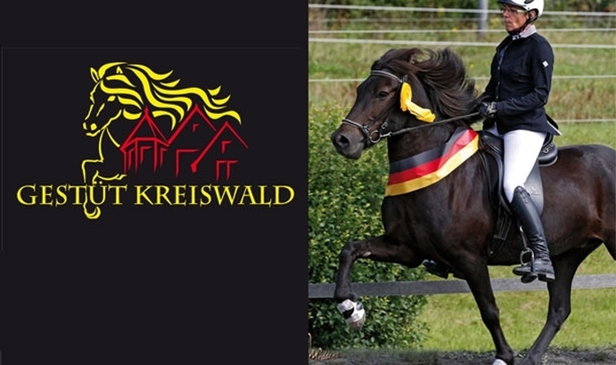 OSI und IGV-Turnier auf dem Gestüt Kreiswald