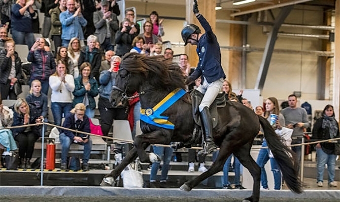 Schweden: Gold für Sys, Magnús, Vignir, Caspar