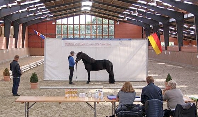 Schicke FIZO-Prüflinge am Kronshof: 50{6dc95ce9429d7974e760aebca401bc5a39f8b4f82ce81afa353731393124c43c} Elite-Ext.