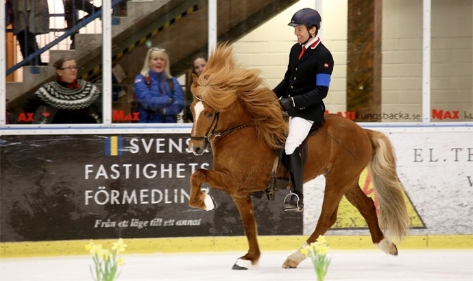 Tölt on Ice: Kungsbacka rüstet sich für Event am SA