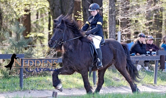 Birkenhof: Geier gewinnt Y.T3, V1-Gold an Laura Grimm
