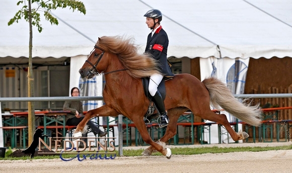 WM-Quali Neuler: Berni toppt F2, Johanna vor Lena in Y.T1