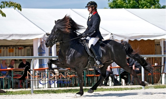 WM-Quali Neuler: Johanna gewinnt Youngster-Töltpreis