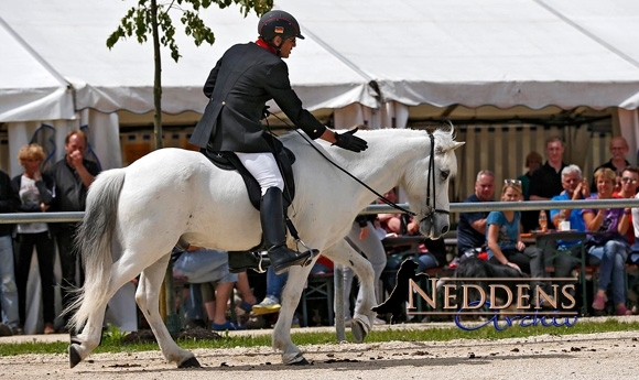 WM-Quali Neuler: Karly und Dagur mit 8,80 auf WM-Kurs