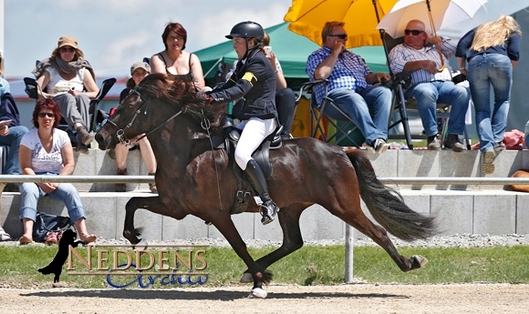 WM-Quali Neuler: Balz zu Y.F1-Gold, Update von B-Finals