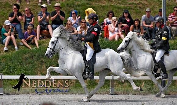 DIM live: Karly Zingsheim gewinnt T1 (8,83), 3x 10 für Jarl