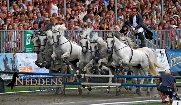 HorsePower: Video-Nachlese und großes Neddens-Album
