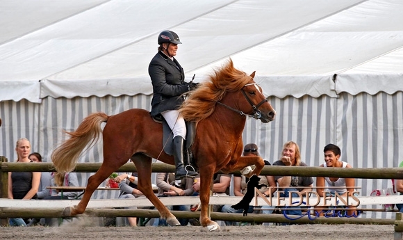 Roderath: Lotti, Christina, Fynn zu Gold, Jolly top in T1