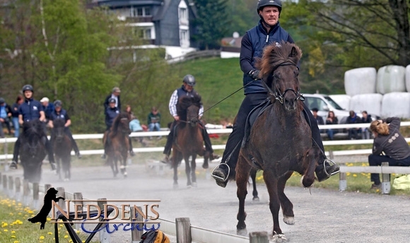 Video und Fotos von der ‘Rheinischen 2014’ auf Töltmyllan