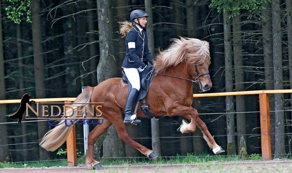OSI Birkenhof: Jolly, Jonas, Willi, Marie & Franzi obenauf