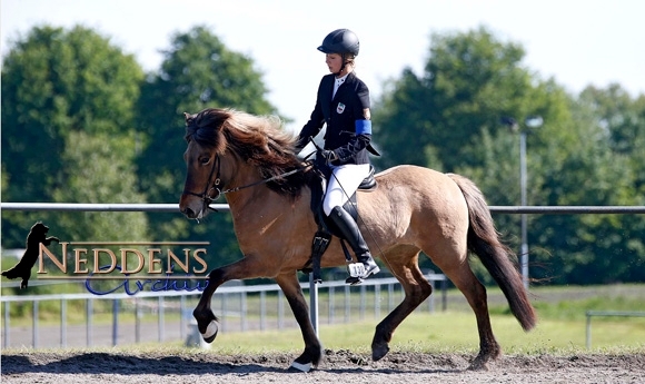 OSI Lingen: Sonniger Mehrgang-Start in Weser-Ems …