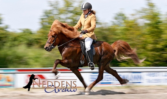 Sonniges OSI Lingen: Final-Videos und Neddens-Album