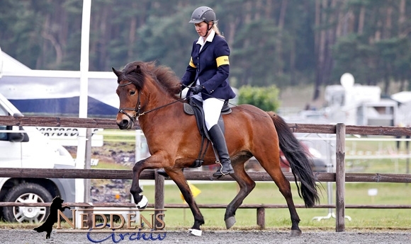 Kronshof: Futurity an Lisa/Inga/Annelie, Jolly regiert V1