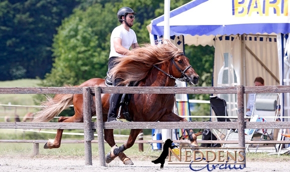 Kronshof: P2-Gold an Dennis, Lisa & Bassi rocken die F2